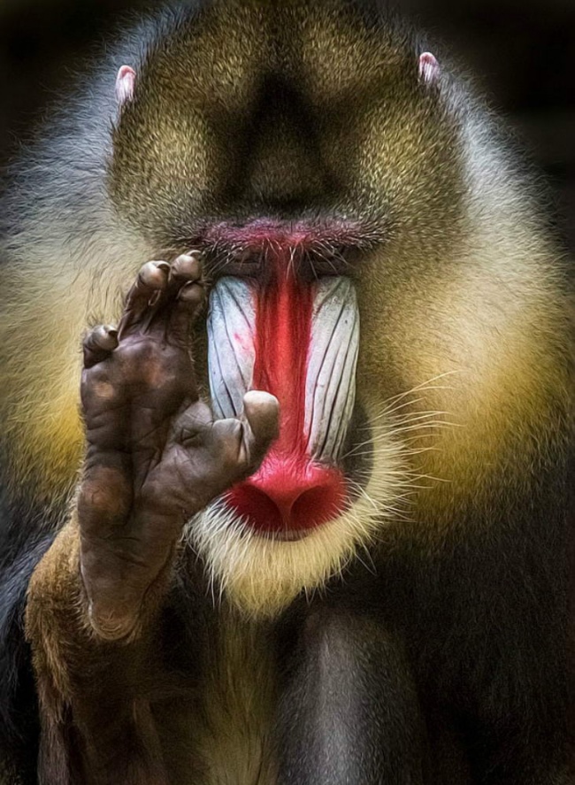 мир всем иди смиром сын мой.jpg