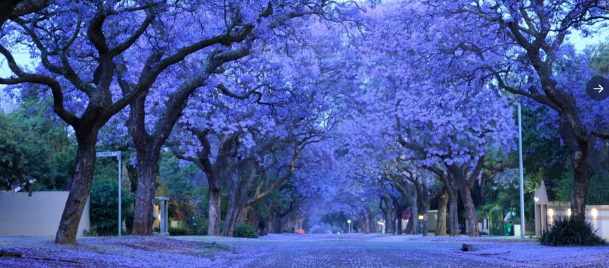 молодость (1).png