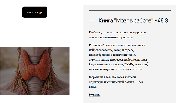 Мозг в работе.png