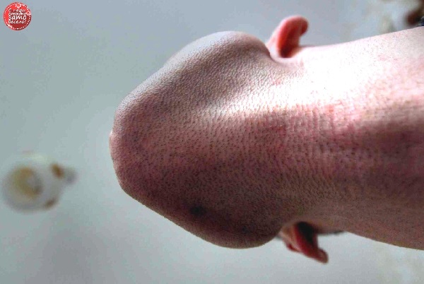 Myжчина, вид cнизy.....jpg