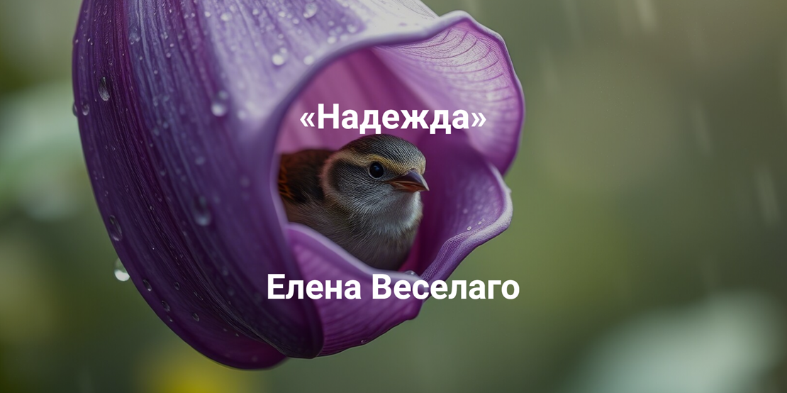 Над.png