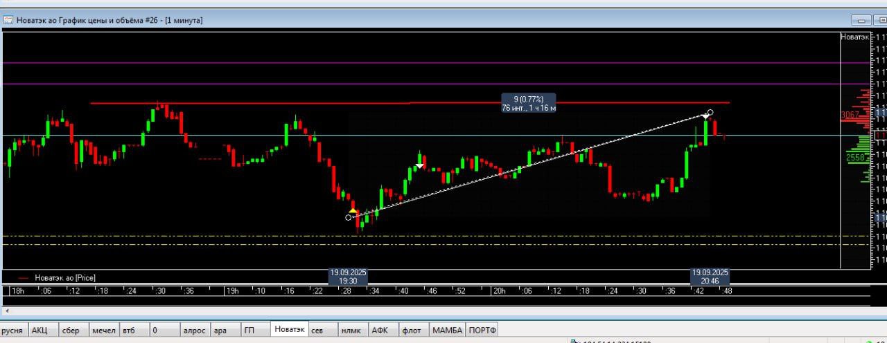 Новатек лонг.jpg