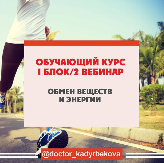 Обмен веществ.png