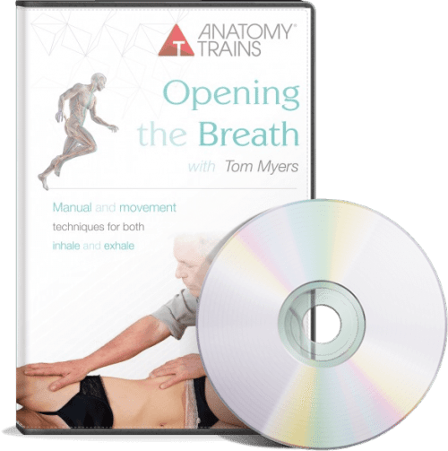 opening-the-breath-dvd-500x503.png