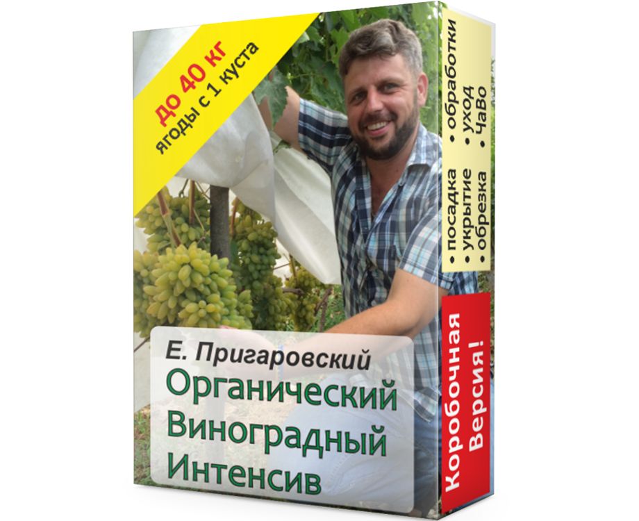 Органический Виноградный Интенсив с Е. Пригаровским. Коробочная версия.jpg