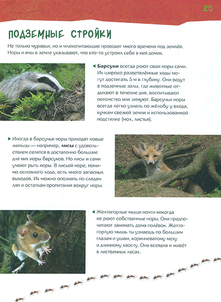 Pages from ФИКСИКИ.  Дневник наблюдений - гуляем по лесу и изучаем природу-2_Page_2n.jpg