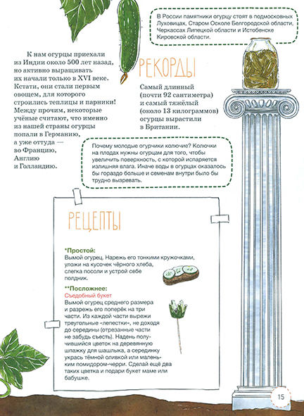 Pages from ФИКСИКИ.  Овощные истории. Из чего делают суп, салат и другие вкусности-2_Page_2.jpg