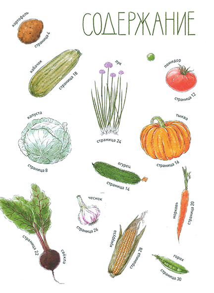 Pages from ФИКСИКИ.  Овощные истории. Из чего делают суп, салат и другие вкусности_Page_1.jpg