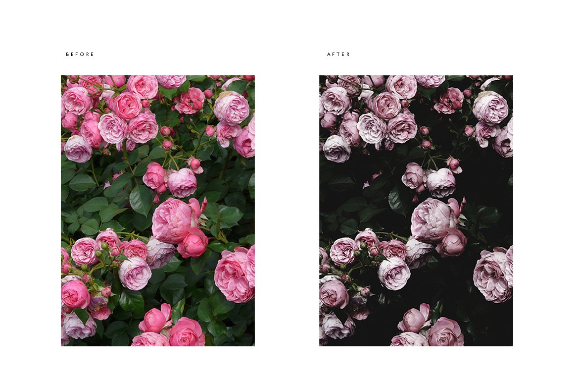 pdx-before-and-after-roses-cm-.jpg