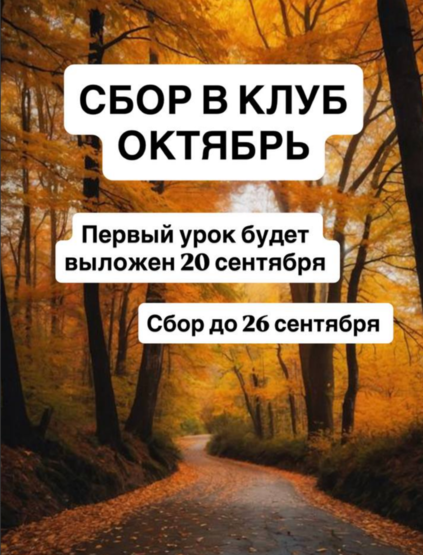 result_Снимок экрана 2026-09-24 135035.png