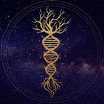 Sapien Medicine ++.jpg