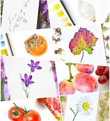 Screenshot 2021-08-24 at 14-09-53 Художник Нина Петровская.png