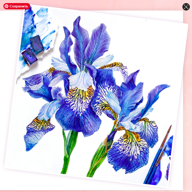 Screenshot 2022-07-28 at 20-00-16 Реалистичная ботаника акварелью SobakaRisovaka.png