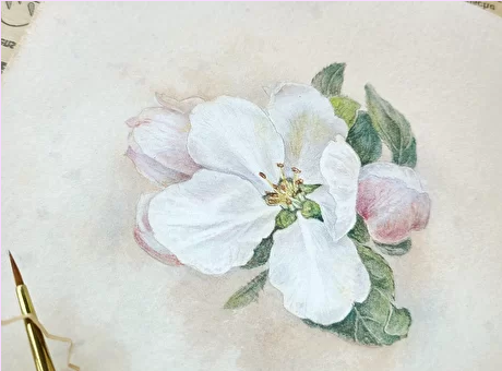 Screenshot 2022-08-10 at 16-15-47 Пакет записей вебинаров.png