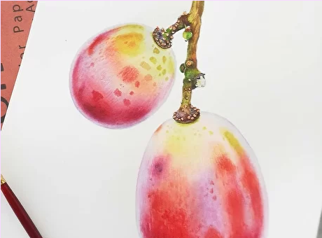 Screenshot 2022-08-10 at 16-15-55 Пакет записей вебинаров.png