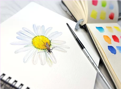 Screenshot 2022-08-10 at 16-16-00 Пакет записей вебинаров.png