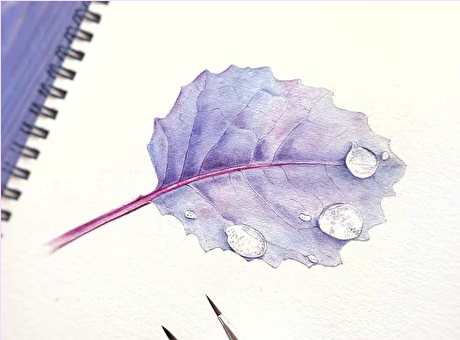 Screenshot 2022-08-10 at 16-16-10 Пакет записей вебинаров.png