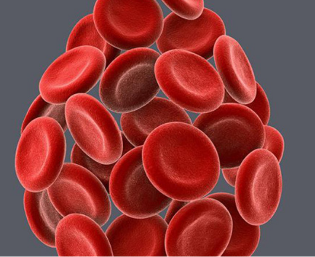 Screenshot 2023-03-16 at 09-06-41 Дефицит железа_гипоксия (обновлённый).png