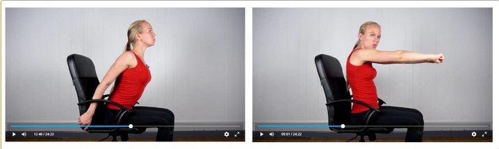 Screenshot 2023-07-21 at 09-59-25 «Здоровая спина и шея за 30 дней».png