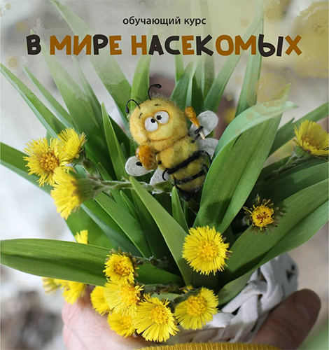 Screenshot 2025-04-26 at 08-28-35 В мире насекомых.png