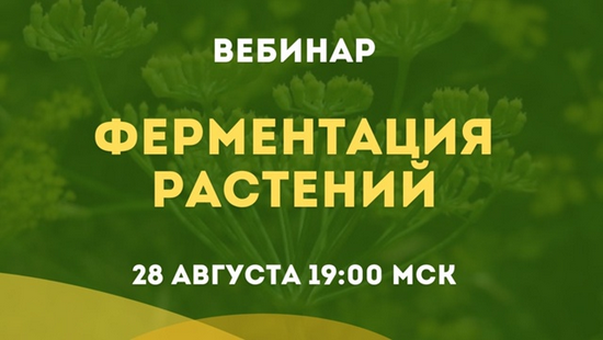 Screenshot 2025-08-27 at 12-12-06 Школа семейного траволечения Ольги Данилюк.png