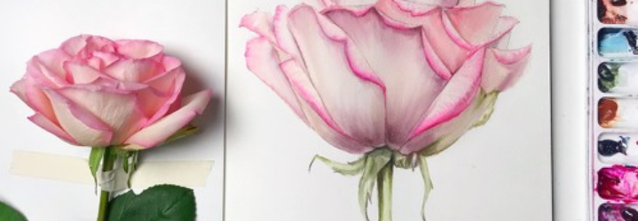 Screenshot_2021-03-09 https mioxa com.png