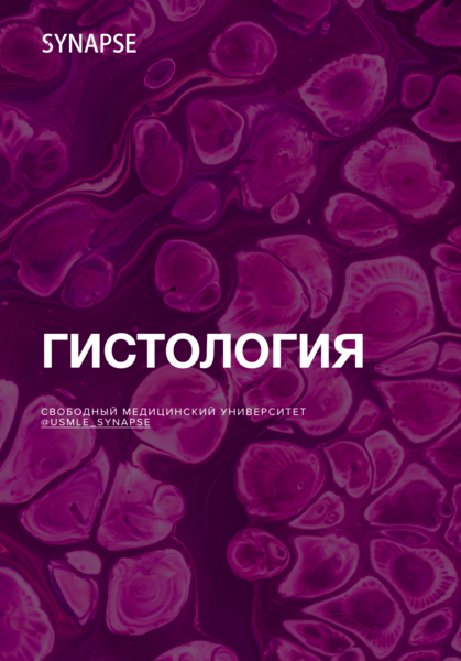 Screenshot_2024-11-04_at_20.26.28-min (2).png