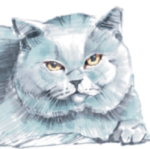 Скетчинг. Рисуем котов.jpg