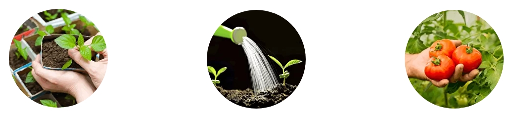 Скриншот 04-05-2021 004203.jpg