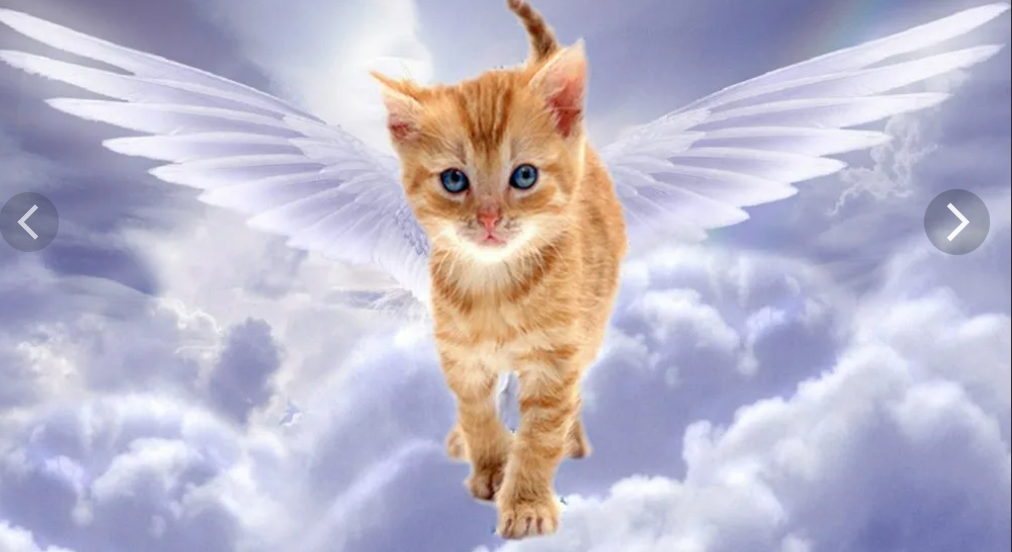 Скриншот 04-06-2023 212019.png