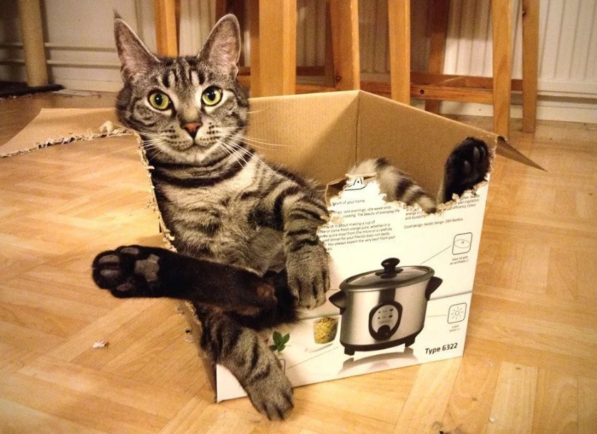 Скриншот 06-05-2021 235100.jpg