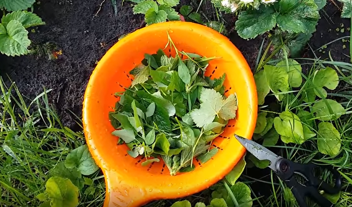 Скриншот 07-05-2018 114054.png