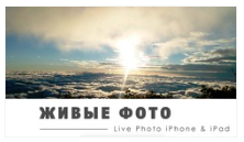 Скриншот 08-10-2018 135432.png