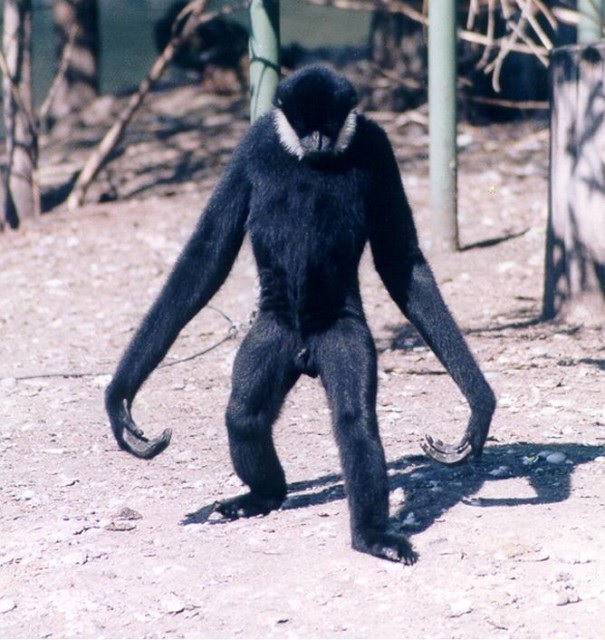 Скриншот 12-05-2021 141954.jpg