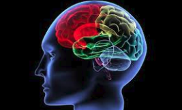 Скриншот 12-07-2018 142234.png