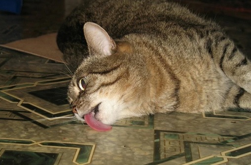 Скриншот 15-11-2021 135601.jpg