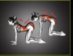 Скриншот 17.03.25_08.11.53.png