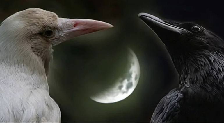 Скриншот 18-04-2021 065023.jpg