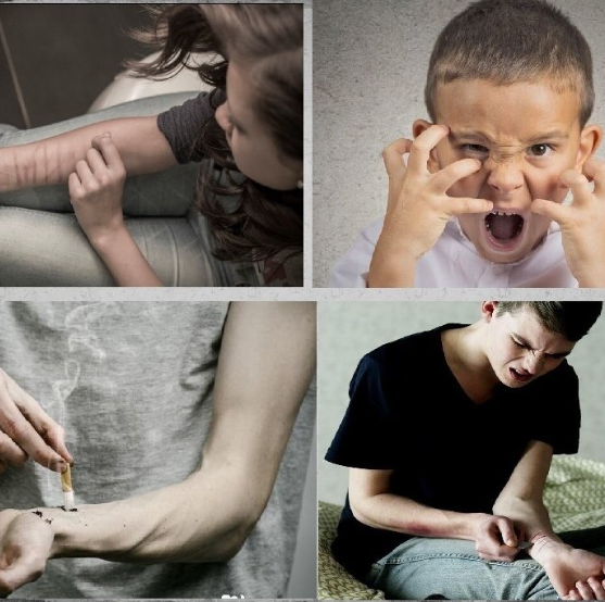 Скриншот 23.03.25_07.13.09.png