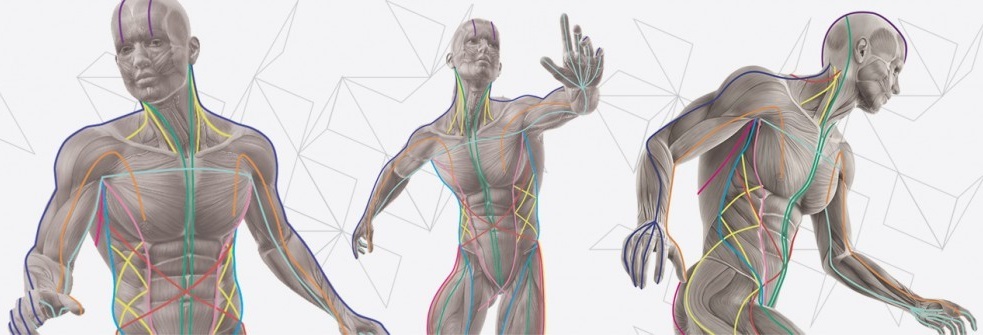 slide1-1024x335-1024x335 - 1.jpg