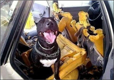 Snap 2016-03-05 at 18.44.17.png