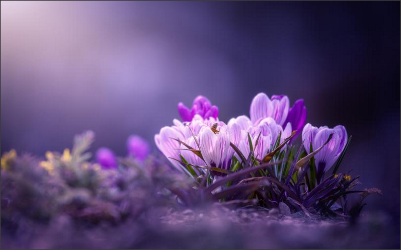 Snap 2019-12-14 at 21.09.12.png