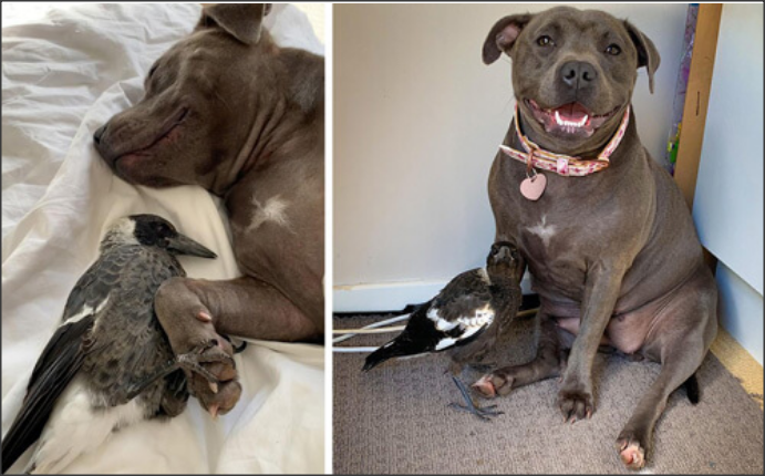 Snap 2021-05-13 at 00.28.17.png