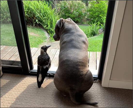 Snap 2021-05-13 at 00.31.36.png