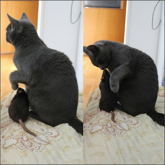 Snap 2021-05-13 at 01.00.01.png