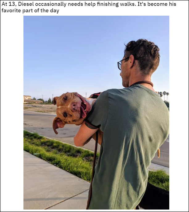 Snap 2021-05-17 at 03.17.18.png