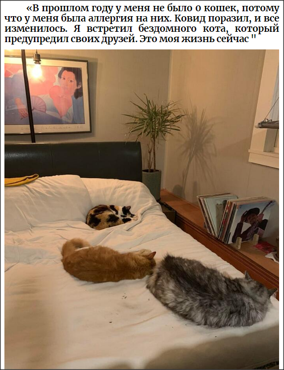 Snap 2021-05-17 at 03.20.02.png