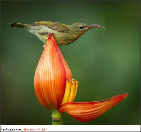 Snap 2021-05-18 at 15.12.56.png