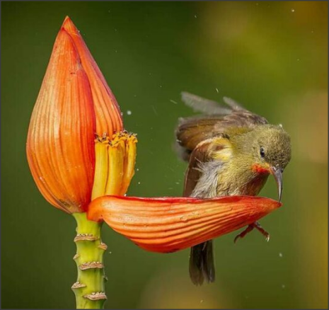 Snap 2021-05-18 at 15.13.26.png