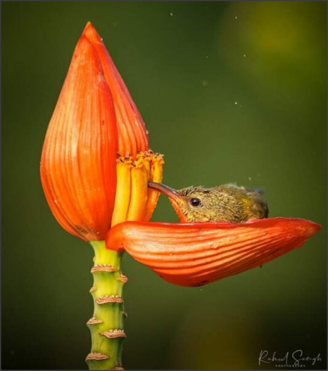 Snap 2021-05-18 at 15.13.53.png